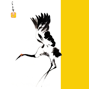 kraanvogel kraanvogel